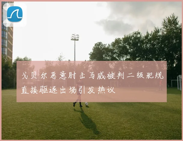 戈贝尔恶意肘击马威被判二级犯规直接驱逐出场引发热议